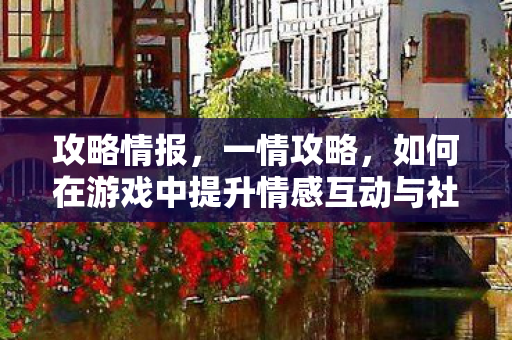 攻略情报，一情攻略，如何在游戏中提升情感互动与社交体验