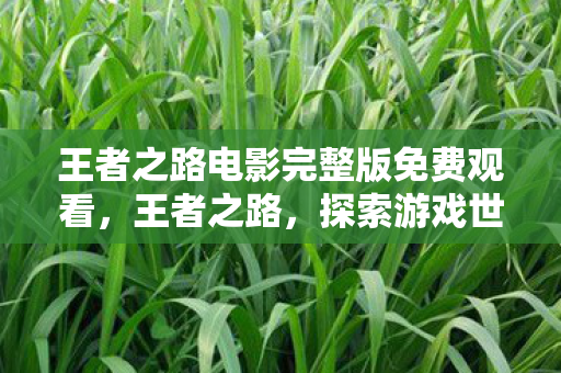 王者之路电影完整版免费观看,王者之路,探索游戏世界的无限可能 王者之路电影完整版免费观看,王者之路,探索游戏世界的无限可能