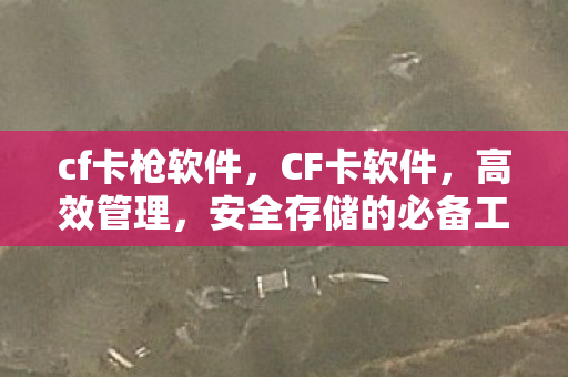 cf卡枪软件，CF卡软件，高效管理，安全存储的必备工具