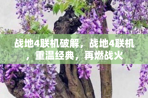 战地4联机破解,战地4联机,重温经典,再燃战火 战地4联机破解,战地4联机,重温经典,再燃战火
