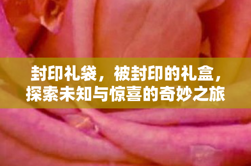 封印礼袋，被封印的礼盒，探索未知与惊喜的奇妙之旅