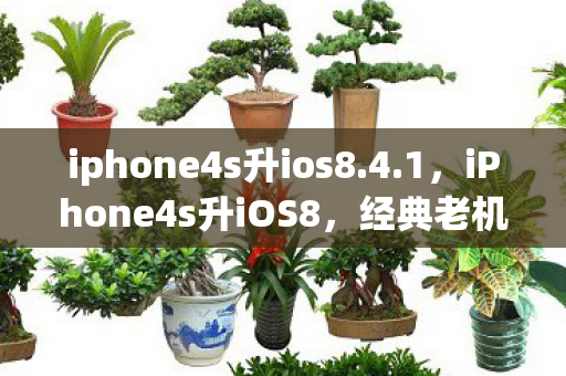 iphone4s升ios8.4.1，iPhone4s升iOS8，经典老机的时代跨越
