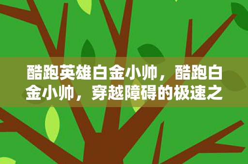 酷跑英雄白金小帅，酷跑白金小帅，穿越障碍的极速之旅