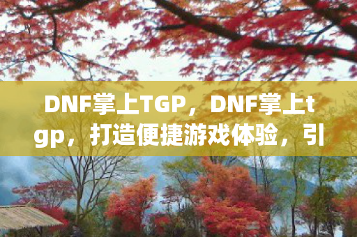 DNF掌上TGP,DNF掌上tgp,打造便捷游戏体验,引领全新潮流 DNF掌上TGP,DNF掌上tgp,打造便捷游戏体验,引领全新潮流