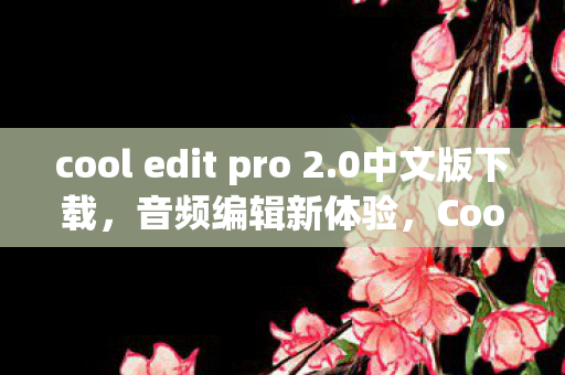 cool edit pro 2.0中文版下载，音频编辑新体验，Cool Edit Pro 2.0中文版全面解析
