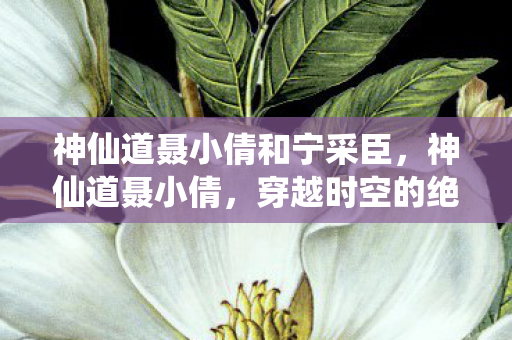 神仙道聂小倩和宁采臣,神仙道聂小倩,穿越时空的绝美爱恋 神仙道聂小倩和宁采臣,神仙道聂小倩,穿越时空的绝美爱恋