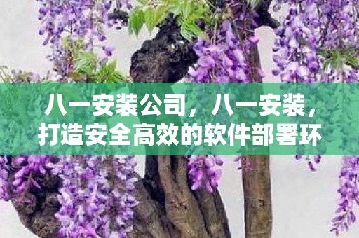 八一安装公司,八一安装,打造安全高效的软件部署环境 八一安装公司,八一安装,打造安全高效的软件部署环境
