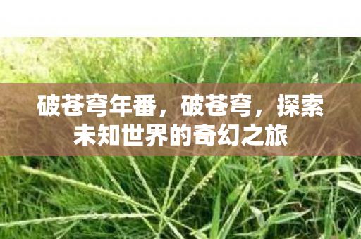 破苍穹年番,破苍穹,探索未知世界的奇幻之旅 破苍穹年番,破苍穹,探索未知世界的奇幻之旅