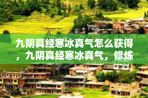九阴真经寒冰真气怎么获得,九阴真经寒冰真气,修炼与实战应用 九阴真经寒冰真气怎么获得,九阴真经寒冰真气,修炼与实战应用