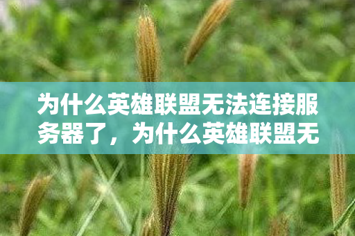 为什么英雄联盟无法连接服务器了,为什么英雄联盟无法连接服务器 为什么英雄联盟无法连接服务器了,为什么英雄联盟无法连接服务器