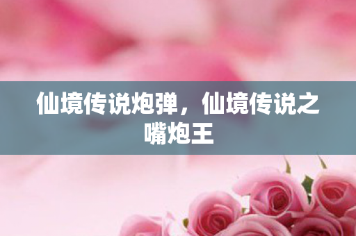 仙境传说炮弹,仙境传说之嘴炮王 仙境传说炮弹,仙境传说之嘴炮王
