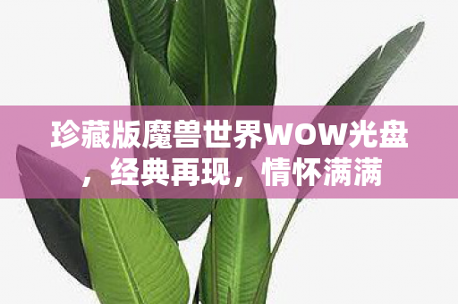 珍藏版魔兽世界WOW光盘,经典再现,情怀满满 珍藏版魔兽世界WOW光盘,经典再现,情怀满满