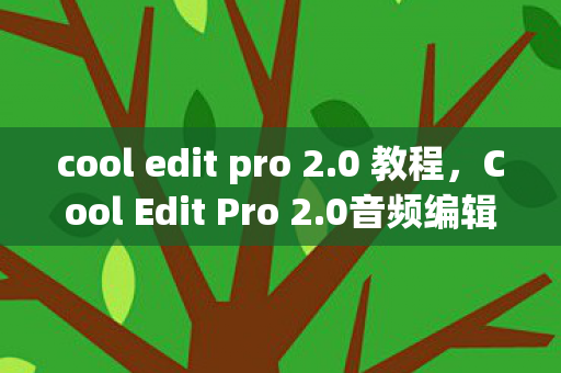 cool edit pro 2.0 教程,Cool Edit Pro 2.0音频编辑全面指南 cool edit pro 2.0 教程,Cool Edit Pro 2.0音频编辑全面指南