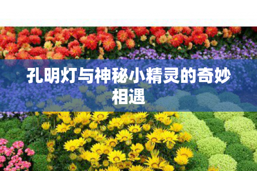 孔明灯与神秘小精灵的奇妙相遇 孔明灯与神秘小精灵的奇妙相遇