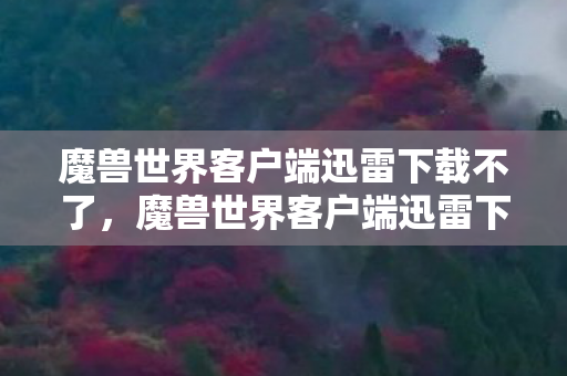 魔兽世界客户端迅雷下载不了，魔兽世界客户端迅雷下载，便捷与安全的双重保障