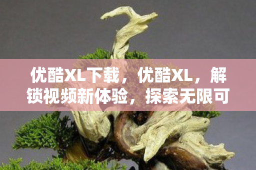 优酷XL下载,优酷XL,解锁视频新体验,探索无限可能 优酷XL下载,优酷XL,解锁视频新体验,探索无限可能