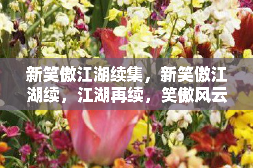 新笑傲江湖续集，新笑傲江湖续，江湖再续，笑傲风云再起