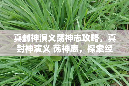 真封神演义荡神志攻略,真封神演义 荡神志,探索经典与创新的融合 真封神演义荡神志攻略,真封神演义 荡神志,探索经典与创新的融合