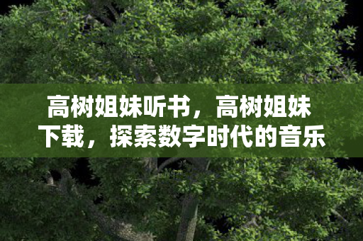 高树姐妹听书,高树姐妹 下载,探索数字时代的音乐共享新体验 高树姐妹听书,高树姐妹 下载,探索数字时代的音乐共享新体验