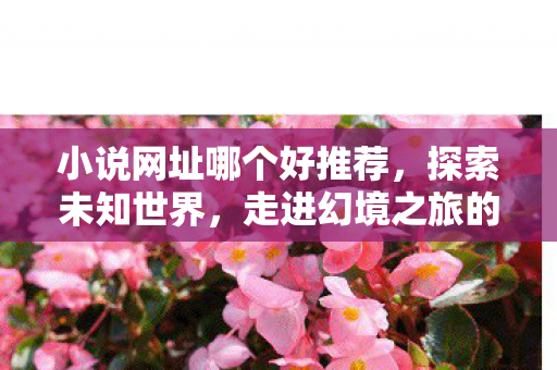 小说网址哪个好推荐,探索未知世界,走进幻境之旅的奇幻国度 小说网址哪个好推荐,探索未知世界,走进幻境之旅的奇幻国度
