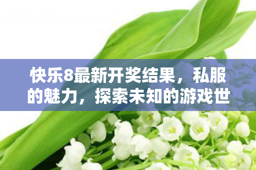 快乐8最新开奖结果,私服的魅力,探索未知的游戏世界 快乐8最新开奖结果,私服的魅力,探索未知的游戏世界
