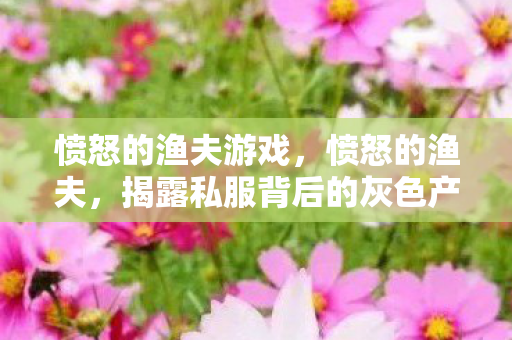 愤怒的渔夫游戏,愤怒的渔夫,揭露私服背后的灰色产业链 愤怒的渔夫游戏,愤怒的渔夫,揭露私服背后的灰色产业链