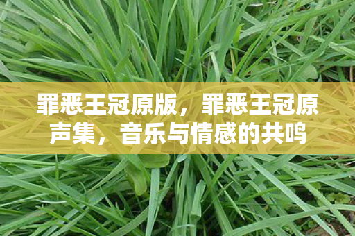 罪恶王冠原版,罪恶王冠原声集,音乐与情感的共鸣 罪恶王冠原版,罪恶王冠原声集,音乐与情感的共鸣