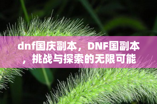 dnf国庆副本，DNF国副本，挑战与探索的无限可能
