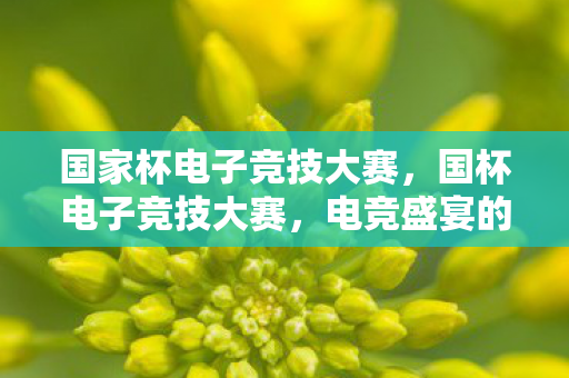 国家杯电子竞技大赛,国杯电子竞技大赛,电竞盛宴的崛起与挑战 国家杯电子竞技大赛,国杯电子竞技大赛,电竞盛宴的崛起与挑战