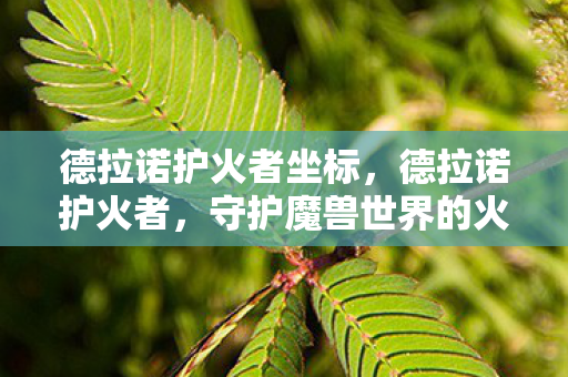 德拉诺护火者坐标,德拉诺护火者,守护魔兽世界的火种 德拉诺护火者坐标,德拉诺护火者,守护魔兽世界的火种