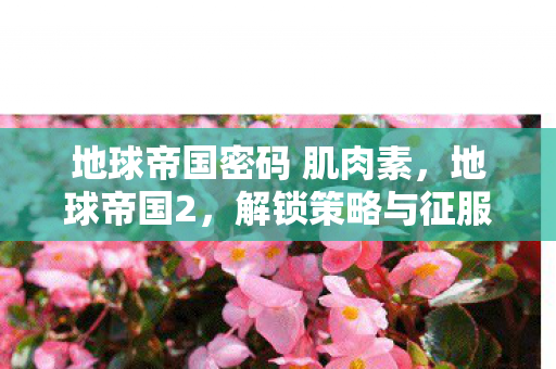 地球帝国密码 肌肉素，地球帝国2，解锁策略与征服的密码