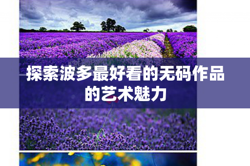 探索波多最好看的无码作品的艺术魅力 探索波多最好看的无码作品的艺术魅力