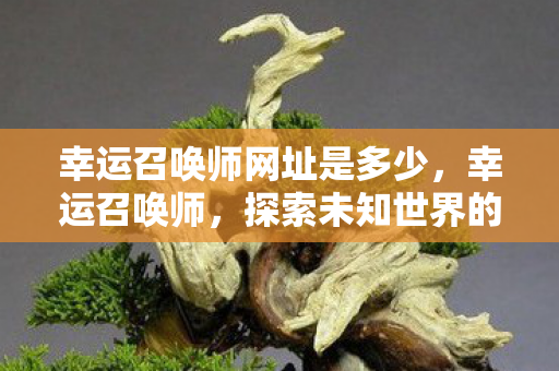 幸运召唤师网址是多少,幸运召唤师,探索未知世界的奇幻之旅 幸运召唤师网址是多少,幸运召唤师,探索未知世界的奇幻之旅
