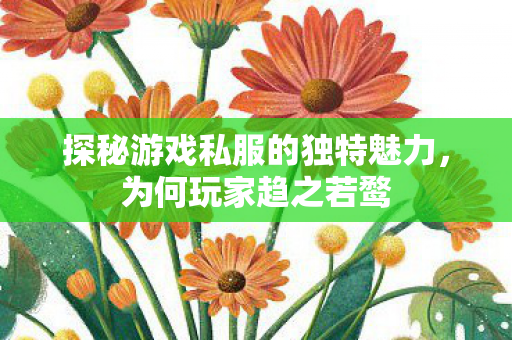 探秘游戏私服的独特魅力,为何玩家趋之若鹜 探秘游戏私服的独特魅力,为何玩家趋之若鹜