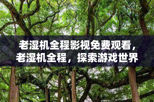 老湿机全程影视免费观看,老湿机全程,探索游戏世界的深度与广度 老湿机全程影视免费观看,老湿机全程,探索游戏世界的深度与广度