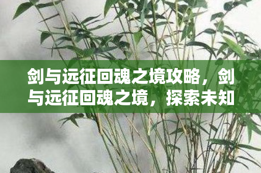 剑与远征回魂之境攻略,剑与远征回魂之境,探索未知世界的奇幻冒险 剑与远征回魂之境攻略,剑与远征回魂之境,探索未知世界的奇幻冒险