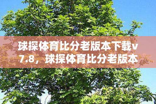 球探体育比分老版本下载v7.8,球探体育比分老版本,经典回忆与情怀的延续 球探体育比分老版本下载v7.8,球探体育比分老版本,经典回忆与情怀的延续