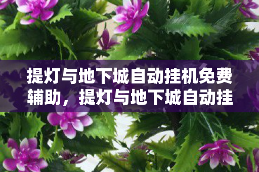 提灯与地下城自动挂机免费辅助,提灯与地下城自动挂机,提升游戏效率与乐趣的利器 提灯与地下城自动挂机免费辅助,提灯与地下城自动挂机,提升游戏效率与乐趣的利器
