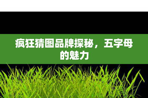 疯狂猜图品牌探秘,五字母的魅力 疯狂猜图品牌探秘,五字母的魅力