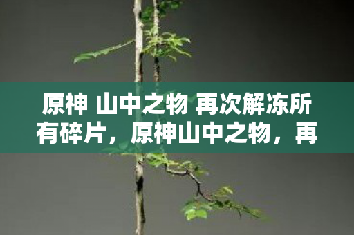 原神 山中之物 再次解冻所有碎片，原神山中之物，再次解冻的古老碎片