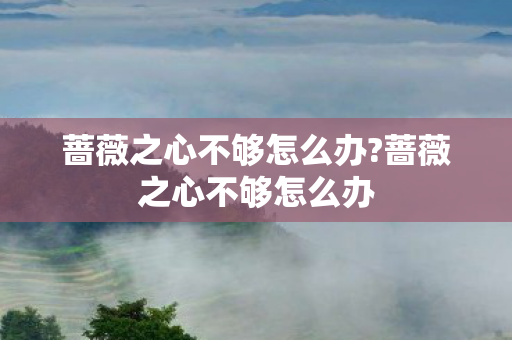 蔷薇之心不够怎么办?蔷薇之心不够怎么办 蔷薇之心不够怎么办?蔷薇之心不够怎么办