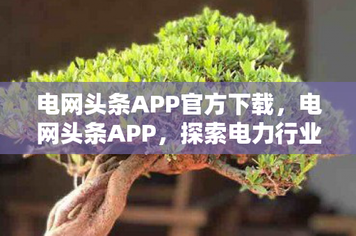 电网头条APP官方下载,电网头条APP,探索电力行业的数字化创新之路 电网头条APP官方下载,电网头条APP,探索电力行业的数字化创新之路