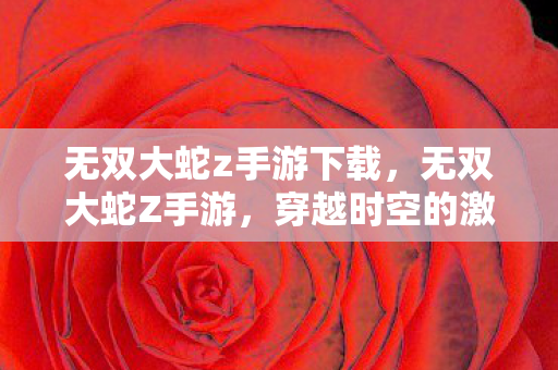 无双大蛇z手游下载,无双大蛇Z手游,穿越时空的激战,畅享无双快感 无双大蛇z手游下载,无双大蛇Z手游,穿越时空的激战,畅享无双快感