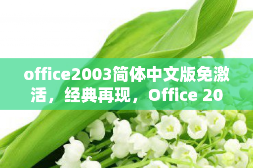 office2003简体中文版免激活,经典再现,Office 2003 简体中文完整版的使用心得 office2003简体中文版免激活,经典再现,Office 2003 简体中文完整版的使用心得