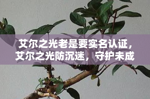 艾尔之光老是要实名认证,艾尔之光防沉迷,守护未成年人的健康游戏环境 艾尔之光老是要实名认证,艾尔之光防沉迷,守护未成年人的健康游戏环境