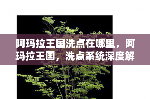 阿玛拉王国洗点在哪里,阿玛拉王国,洗点系统深度解析 阿玛拉王国洗点在哪里,阿玛拉王国,洗点系统深度解析