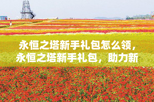 永恒之塔新手礼包怎么领,永恒之塔新手礼包,助力新手快速成长 永恒之塔新手礼包怎么领,永恒之塔新手礼包,助力新手快速成长