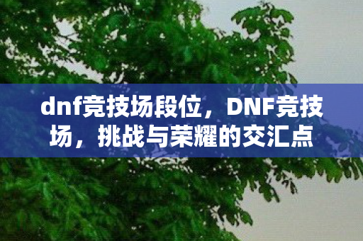 dnf竞技场段位，DNF竞技场，挑战与荣耀的交汇点