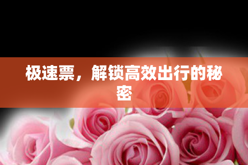 极速票,解锁高效出行的秘密 极速票,解锁高效出行的秘密