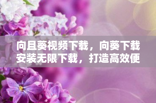 向且葵视频下载,向葵下载安装无限下载,打造高效便捷的下载体验 向且葵视频下载,向葵下载安装无限下载,打造高效便捷的下载体验